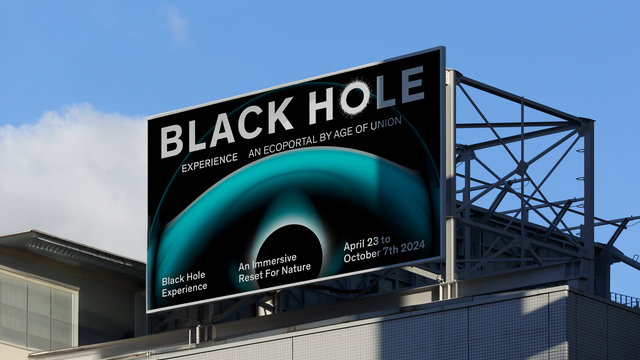 Black Hole Experience